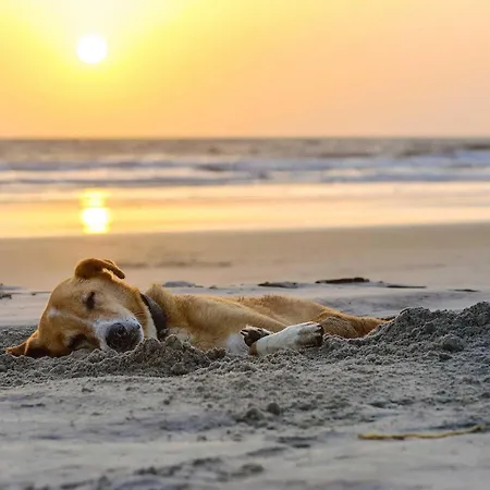 Apartmán Sommerzeit- 3 Zimmer-wohnung Mit 5 Sternen